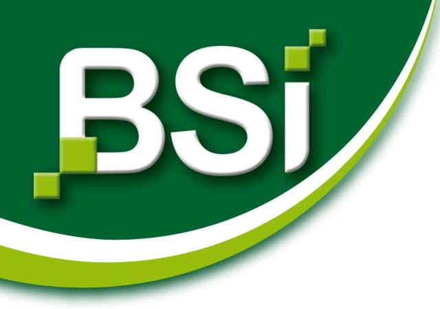 Logo BSI